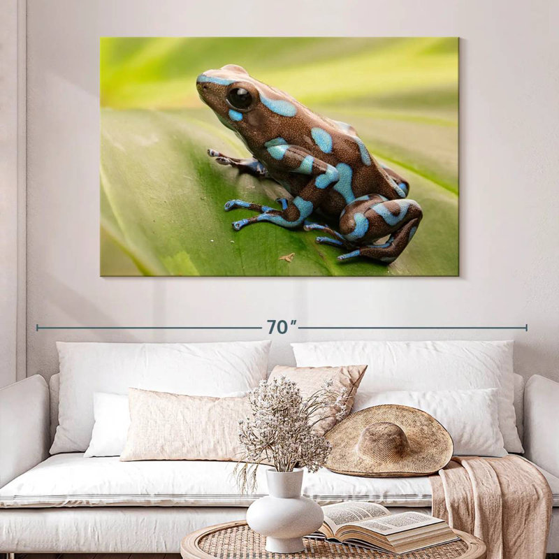 Brampt Exotic Dart Frog