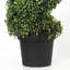 Ensemble de 2 buis artificiels en pot-66749303