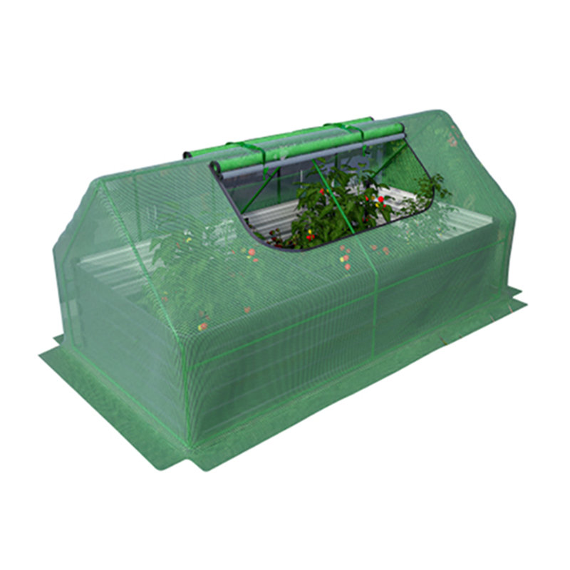 Mini serre amovible pour fleurs de légumes