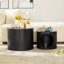 Ensemble de tabourets gigognes Cat Nest, ensemble de 2 tables basses gigognes rondes pour le salon, sans assemblage, noir-458636043
