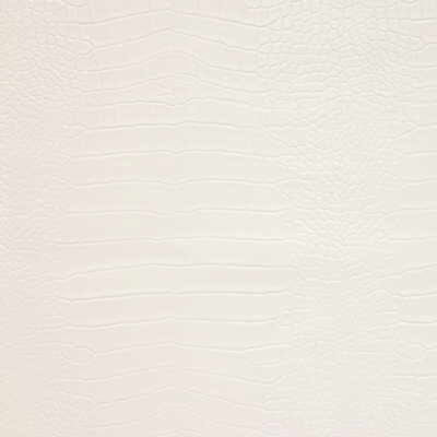 Ankora Design Fabric