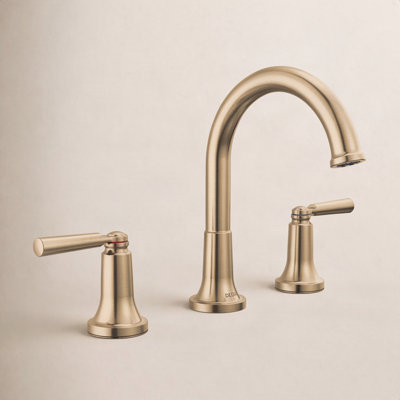 Saylor™ Widespread Bathroom Faucet with Drain