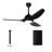 SkyFan Altair 52" 3-Blade Ceiling Fan-308317395