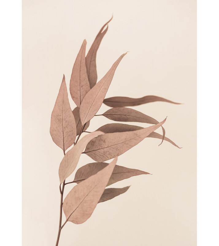 Wrapped Canvas Print, 76.2 cm H x 50.8 cm W
