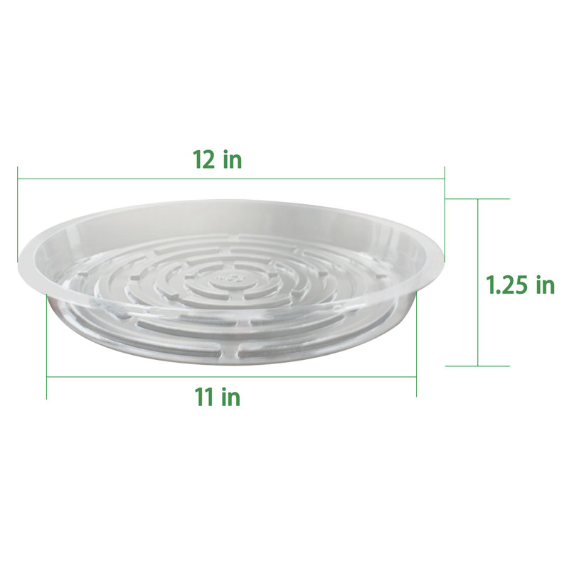 Plateaux de pots de fleurs transparents 5 pièces - Idéal pour présenter des fleurs fraîches et des plantes
