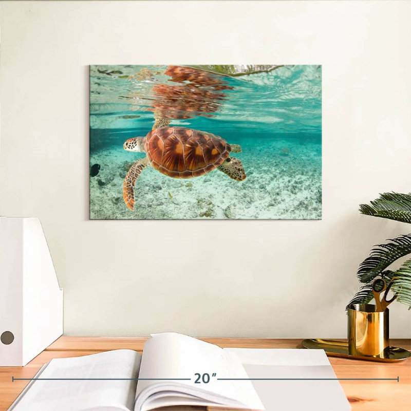 Brampt Bora Bora Sea Turtle, 8" H x 12" W