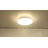 Lariana Plastic LED Flush Mount