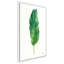 Palmes des tropiques III - peinture-978947100-978947091