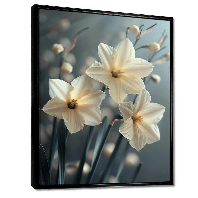 Jonquilles monochromes grises et blanches Photo I - Décoration murale jonquilles, Cadre flottant noir, H 30 po x l 40 po