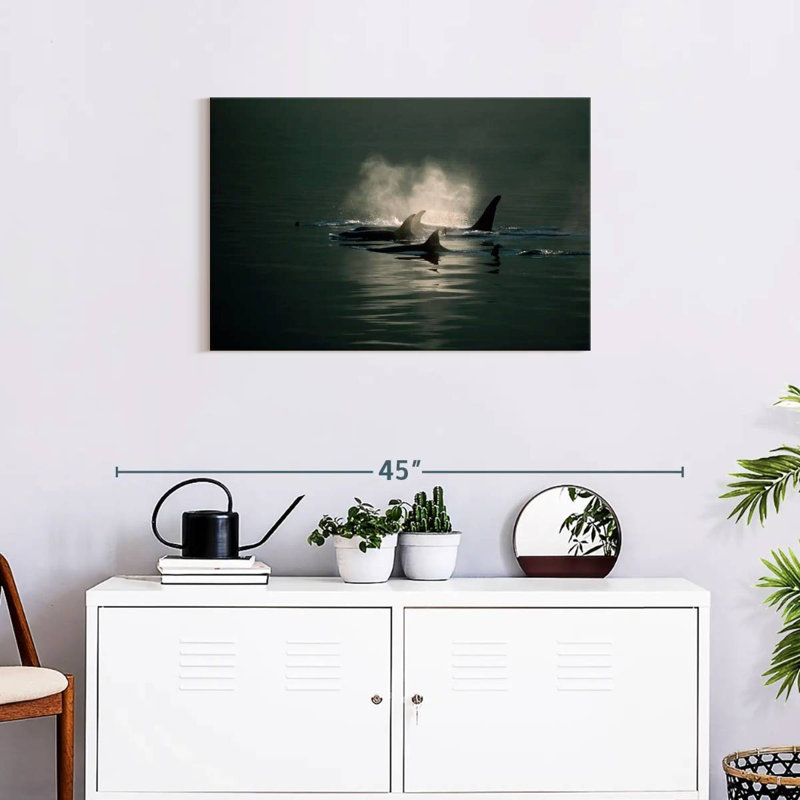 Brampt Orca Whale Pod, 20" H x 30" W