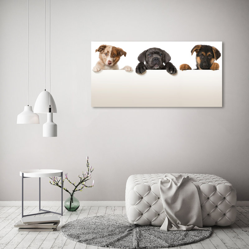 Three Puppies - Print, 60cm H x 120cm W x 2cm D, Canvas