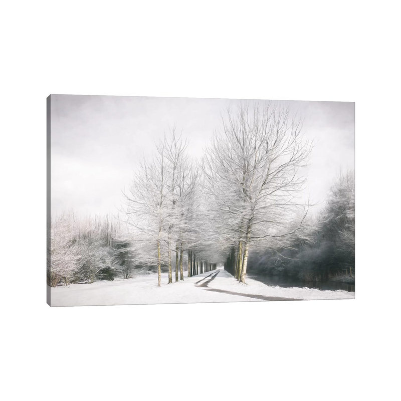 Winter Is Here by Lars Van De Goor - Wrapped Canvas Print, 20.32 cm H x 30.48 cm W