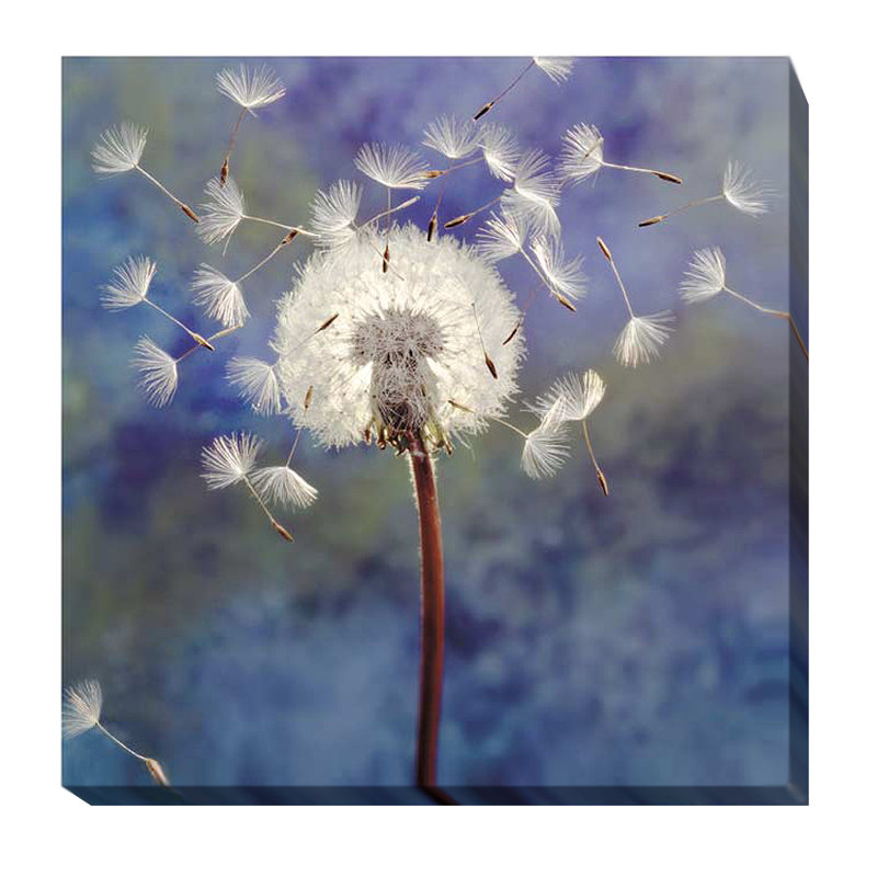 " Dandelion ", 36" H x 36" W x 1.5" D