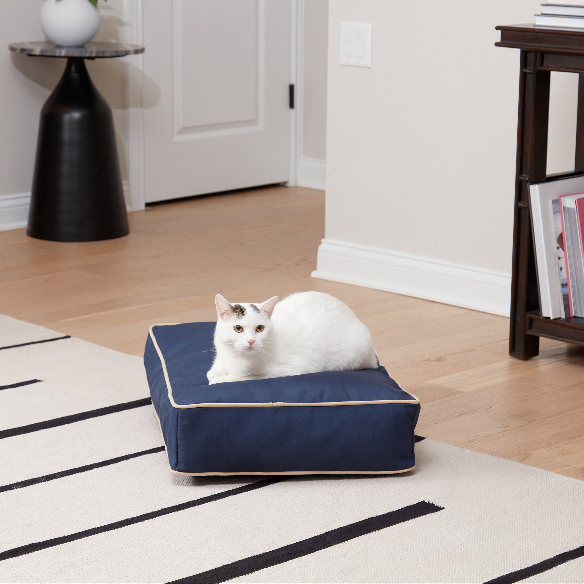 Happy Hounds Rectangle Cat Bed - Wayfair Canada