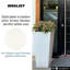 Plant Pot-788838801-804733378