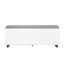 Beitris Upholstered Storage Bench
