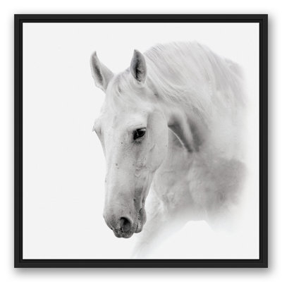 White Horse Framed On Canvas Print