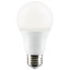 A19 DEL, ampoule, E26 / base moyenne (standard)