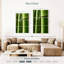 Bois de bambou Harnek-108522206