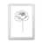 White Frame is unavailable