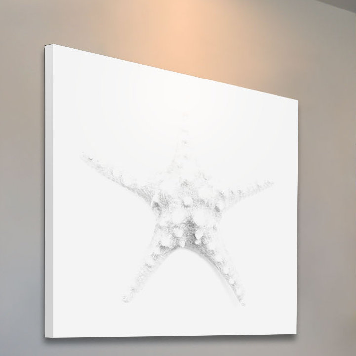 Shiro Star 1 Piece Wrapped Canvas Wall Art, 45cm H x 45cm W x 3.81cm D