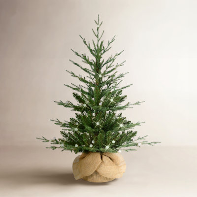 2.2' Pre-Lit Christmas Tree