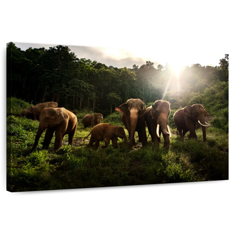 Troupeau d'éléphants d'Asie Brampt, H 20 po x l 30 po