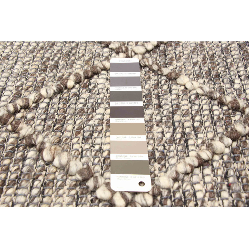 Delayza Performance Hand Braided Wool Rug