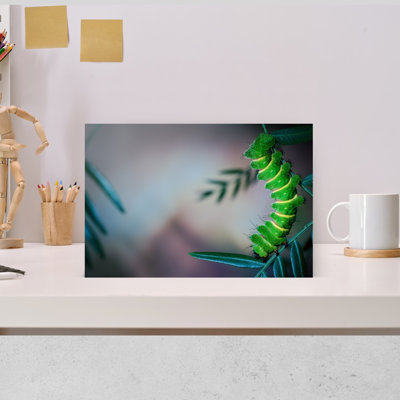 Vibrant Green Caterpillar Colorful Vibrant Animal Nature Wall Art Print 1 Piece Wrapped Canvas Wall Art