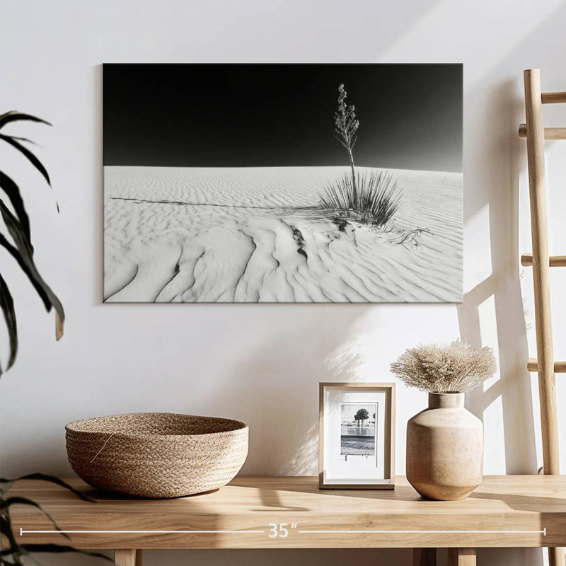 Alvord White Sands Impression Monochrome, 16" H x 24" W