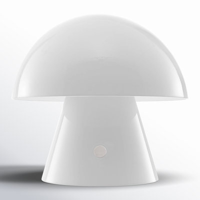 Xyanna Metal Desk Lamp