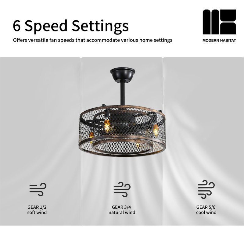 20" Kinzel 8 - Blade Caged Ceiling Fan with Light Kit Included, Black, Black/Brown