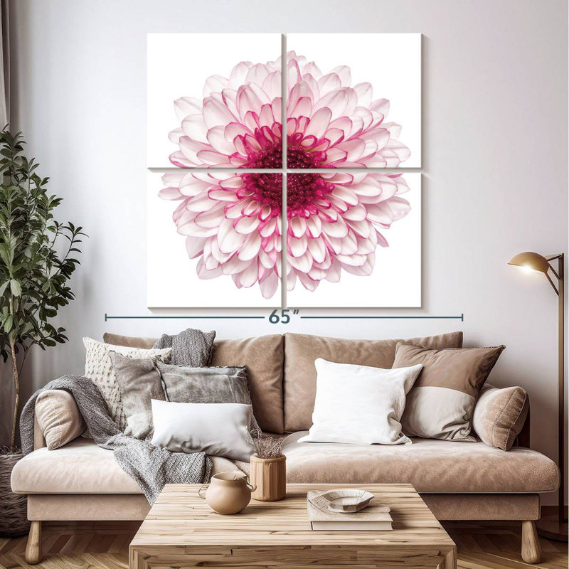 Chrysanthème rose Harnek, H 50 po x l 50 po