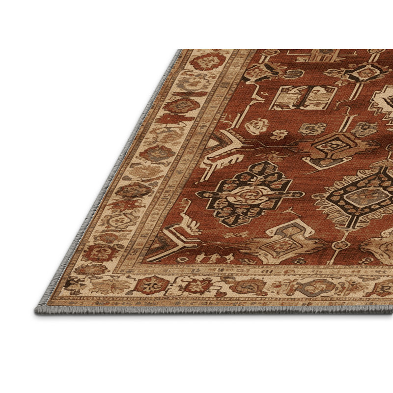 Machine Washable Turkish Brown Area Rug, Rectangle 6' x 9'