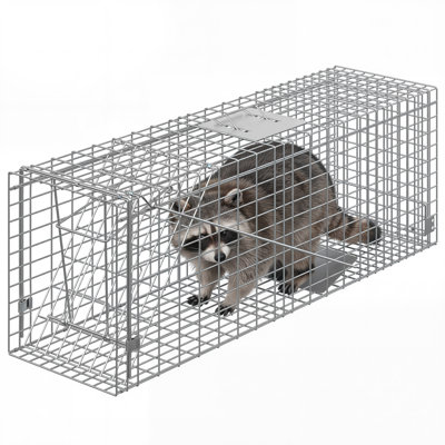 36" Collapsible Humane Animal Trap, Steel Live Capture Cage with Sensitive Trigger for Stray Cats, Raccoons, Skunks & Groundhogs