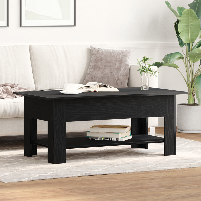 Coffee Table with Storage