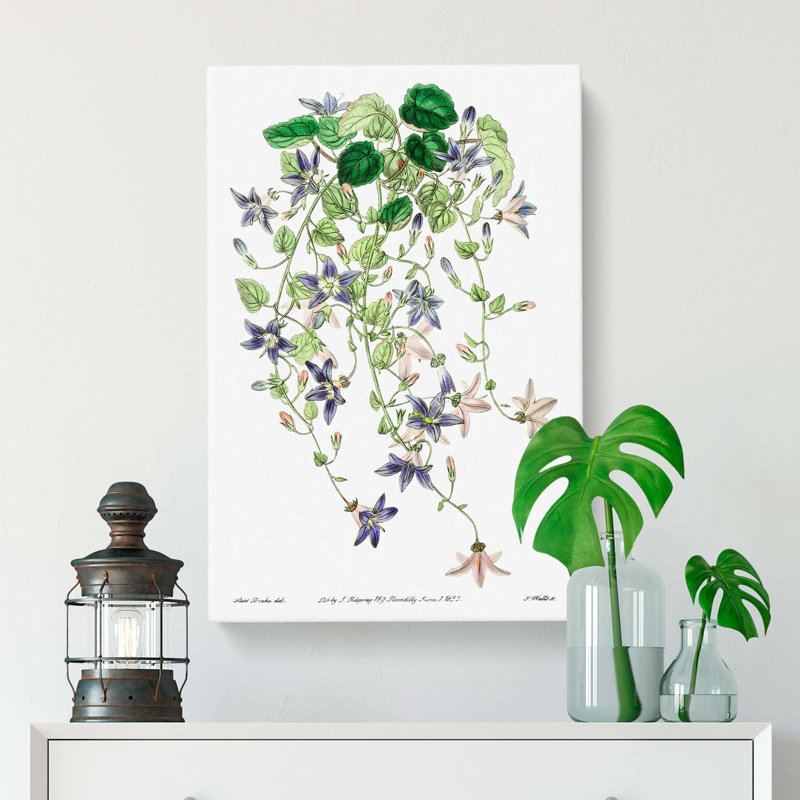 Adriatic Bellflowers - Wrapped Canvas, 50cm H x 35cm W x 3cm D