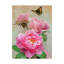 « rose floral », reproduction d’impression sur toile tendue-26858761