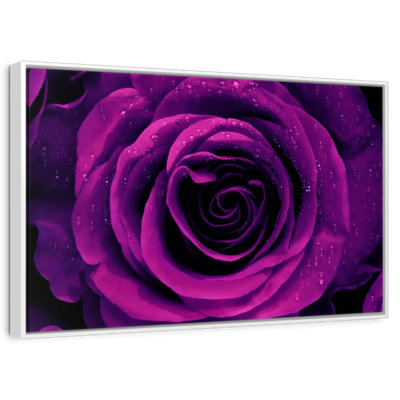 Rose mauve rosée