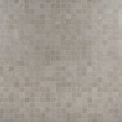 New Rock 2X2 Matte Porcelain Mosaic