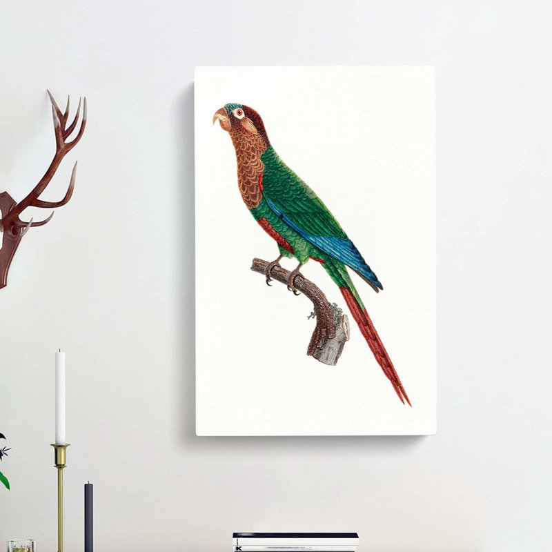Wave Breasted Parakeet by F. Levaillant - Wrapped Canvas, 76cm H x 50cm W x 3cm D