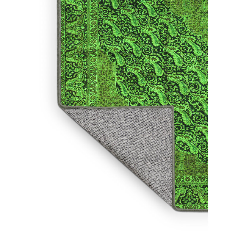 Washable Paisley Indoor Rug, Rectangle 2' x 4'