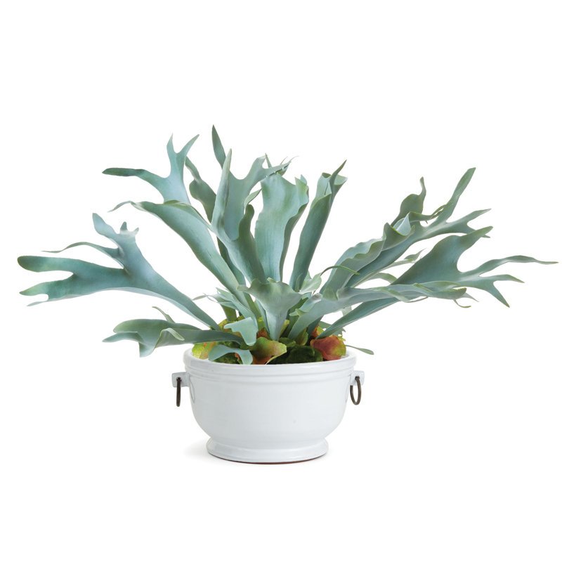 Killam Ceramic Cachepot