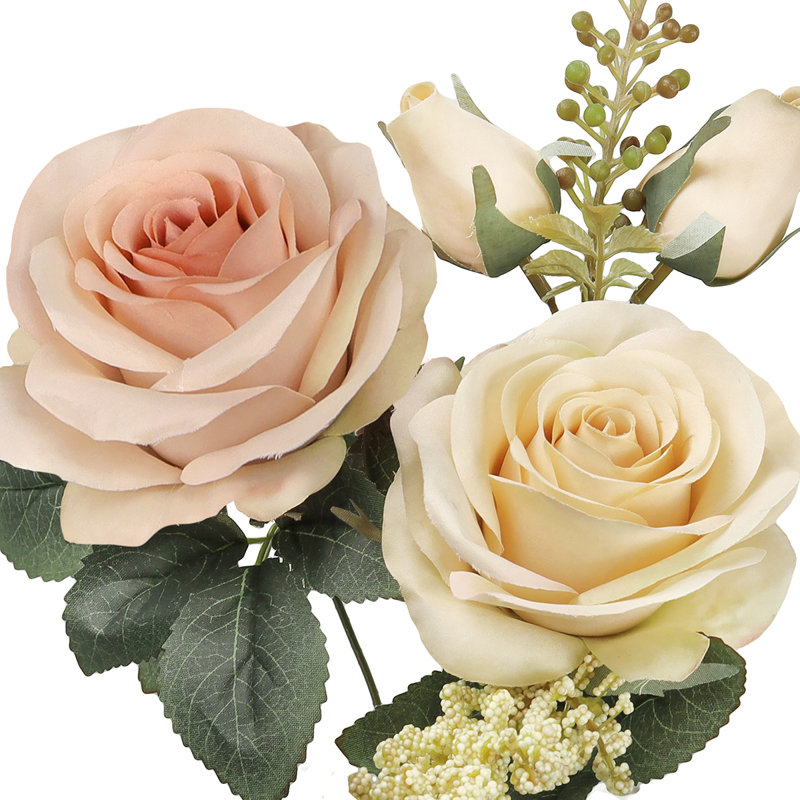 Doux rosier, Champagne mauve