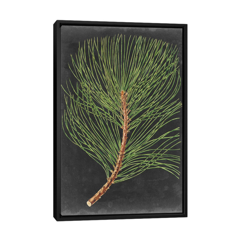 «Dramatic Pine III», impression sur toile, H 26 po x l 18 po x P 1,5 po, Toile avec cadre noir, Pas de tapis