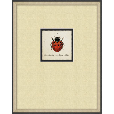 Lady Bug 1 Print