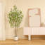 Aniston Faux arbre ficus avec pot rond blanc, plante de ficus Greenry-1651546358