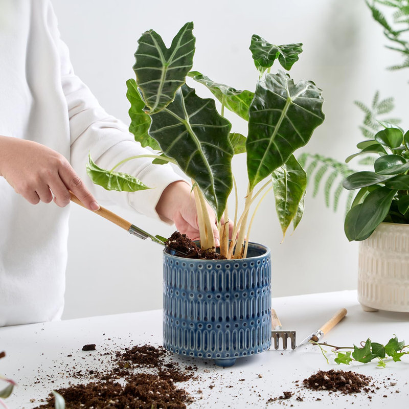 Jardinière en céramique bleue 5 "avec drainage