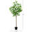 72 " H Faux Tree in Plastic Pot Liner