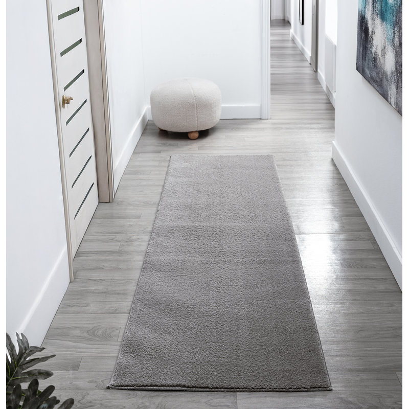 Taeler Washable Modern Living Room Rug Polyester Plain Indoor Area Rug with Low Pile - Anti-Slip Felt Backing SuperSoft Carpet Bedroom-Hallway, Dark Grey